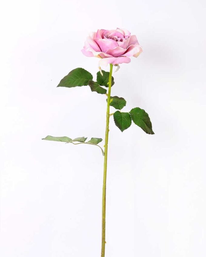 12*65CM single rose GS-2580086-Z1