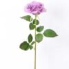 12*65CM single rose GS-2580086-Z2