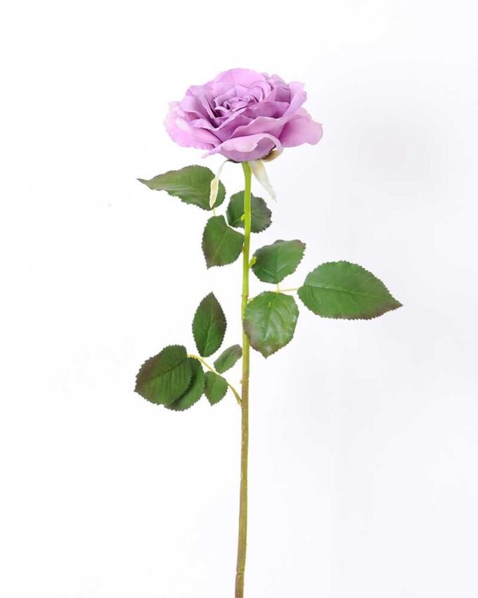 12*65CM single rose GS-2580086-Z2