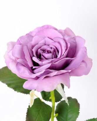 12*65CM single rose GS-2580086-Z2