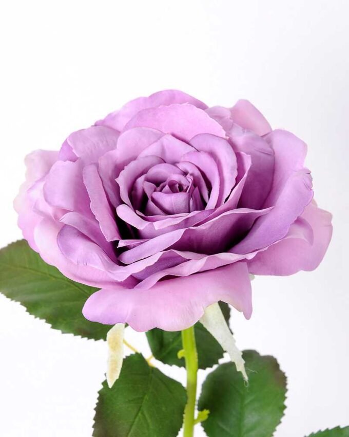 12*65CM single rose GS-2580086-Z2