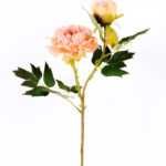 26*26*52CM  Autumn Peony*2(S) GS-2580092-P1
