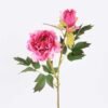 26*26*52CM  Autumn Peony*2(S) GS-2580092-P2