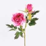 26*26*52CM  Autumn Peony*2(S) GS-2580092-P2