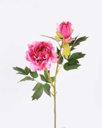 26*26*52CM  Autumn Peony*2(S) GS-2580092-P2