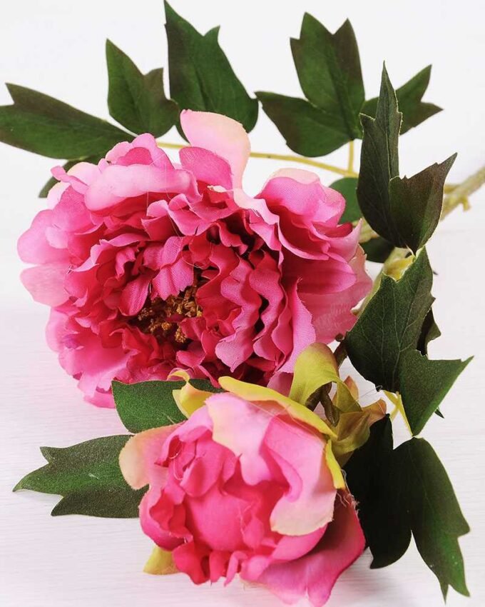 26*26*52CM  Autumn Peony*2(S) GS-2580092-P2