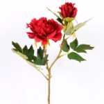 26*26*52CM  Autumn Peony*2(S) GS-2580092-R1