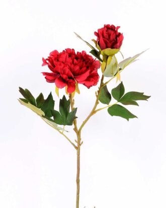 26*26*52CM  Autumn Peony*2(S) GS-2580092-R1