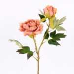 26*26*52CM  Autumn Peony*2(S) GS-2580092-S1