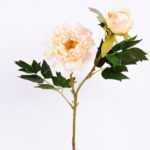 26*26*52CM  Autumn Peony*2(S) GS-2580092-W1