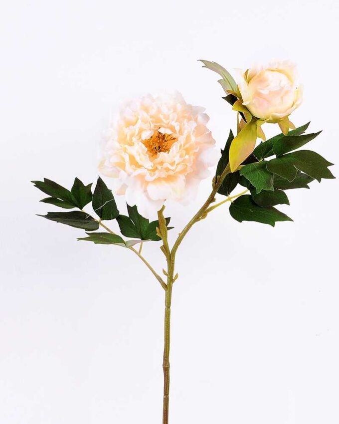 26*26*52CM  Autumn Peony*2(S) GS-2580092-W1