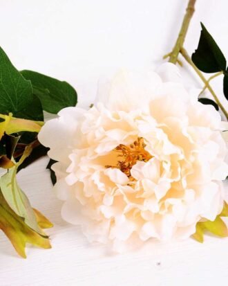 26*26*52CM  Autumn Peony*2(S) GS-2580092-W1