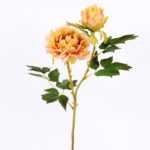 26*26*52CM  Autumn Peony*2(S) GS-2580092-Y1