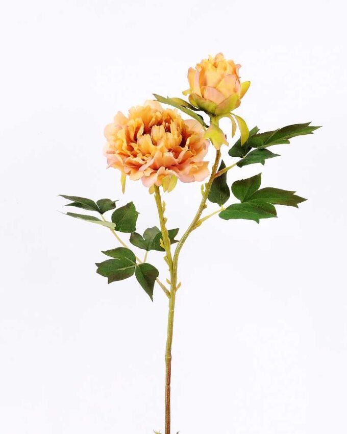 26*26*52CM Autumn Peony*2(S) GS-2580092-Y1 1 26*26*52CM Autumn Peony*2(S) GS-2580092-Y1