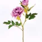 26*26*52CM  Autumn Peony*2(S) GS-2580092-Z1