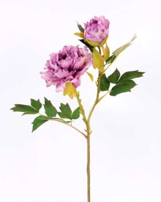 26*26*52CM Autumn Peony*2(S) GS-2580092-Z1 Single Flowers YeahFlower is one of Chinese leading OEM manufacturers and exporters , supplying the silk flowers, wholesale artificial trees 26*26*52CM Autumn Peony*2(S) GS-2580092-Z1