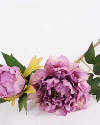 26*26*52CM Autumn Peony*2(S) GS-2580092-Z1 Single Flowers YeahFlower is one of Chinese leading OEM manufacturers and exporters , supplying the silk flowers, wholesale artificial trees 26*26*52CM Autumn Peony*2(S) GS-2580092-Z1
