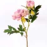 26*26*52CM  Autumn Peony*2(S) GS-2580092-Z2