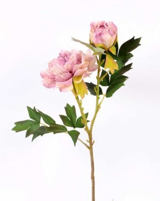 26*26*52CM Autumn Peony*2(S) GS-2580092-Z2 Single Flowers YeahFlower is one of Chinese leading OEM manufacturers and exporters , supplying the silk flowers, wholesale artificial trees 26*26*52CM Autumn Peony*2(S) GS-2580092-Z2