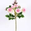 20*20*54CM Single Rose Spray GS-2580107-P1
