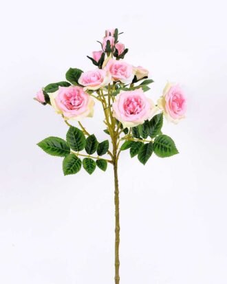 20*20*54CM Single Rose Spray GS-2580107-P1