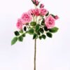 20*20*54CM Single Rose Spray GS-2580107-P2