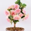 22*22*34CM Rose Bouquet GS-2580109-P1 1 22*22*34CM Rose Bouquet GS-2580109-P1