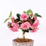 22*22*34CM Rose Bouquet GS-2580109-R1