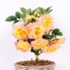 22*22*34CM Rose Bouquet GS-2580109-Y1