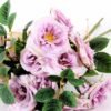 22*22*34CM Rose Bouquet GS-2580109-Z1