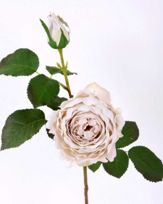 25*50CM single rose spray GS-2580111-W1