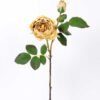 25*50CM single rose spray GS-2580111-Y1 1 25*50CM single rose spray GS-2580111-Y1