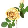 25*50CM single rose spray GS-2580111-Y1 2 25*50CM single rose spray GS-2580111-Y1