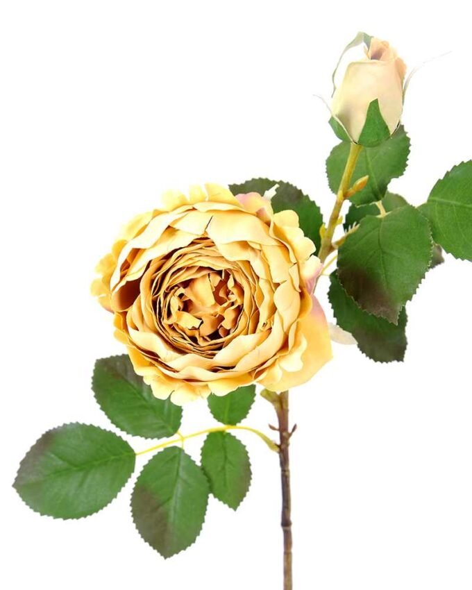 25*50CM single rose spray GS-2580111-Y1 2 25*50CM single rose spray GS-2580111-Y1