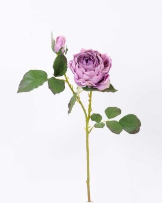 25*50CM single rose spray GS-2580111-Z1