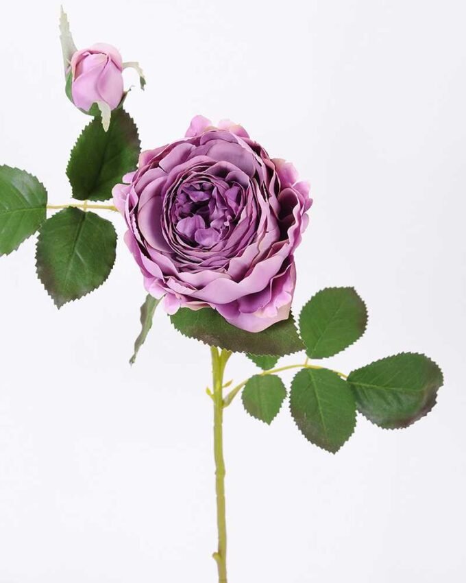 25*50CM single rose spray GS-2580111-Z1