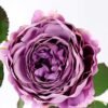 25*50CM single rose spray GS-2580111-Z1
