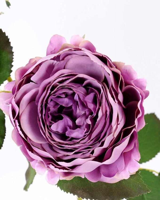 25*50CM single rose spray GS-2580111-Z1