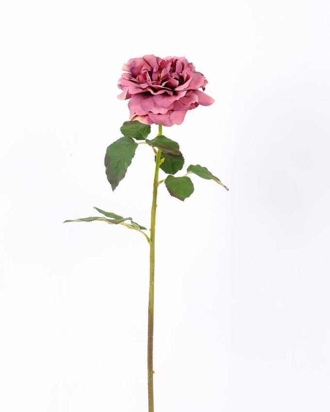 26*65CM single rose GS-2580112-P1