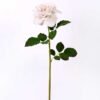 26*65CM single rose GS-2580112-W1