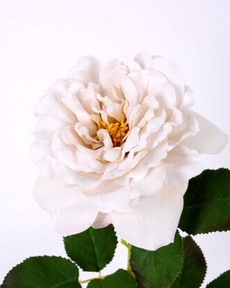 26*65CM single rose GS-2580112-W1