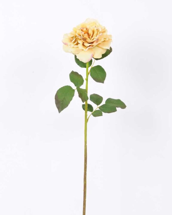 26*65CM single rose GS-2580112-Y1