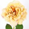 26*65CM single rose GS-2580112-Y1