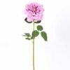 26*65CM single rose GS-2580112-Z1