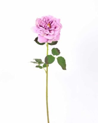 26*65CM single rose GS-2580112-Z1