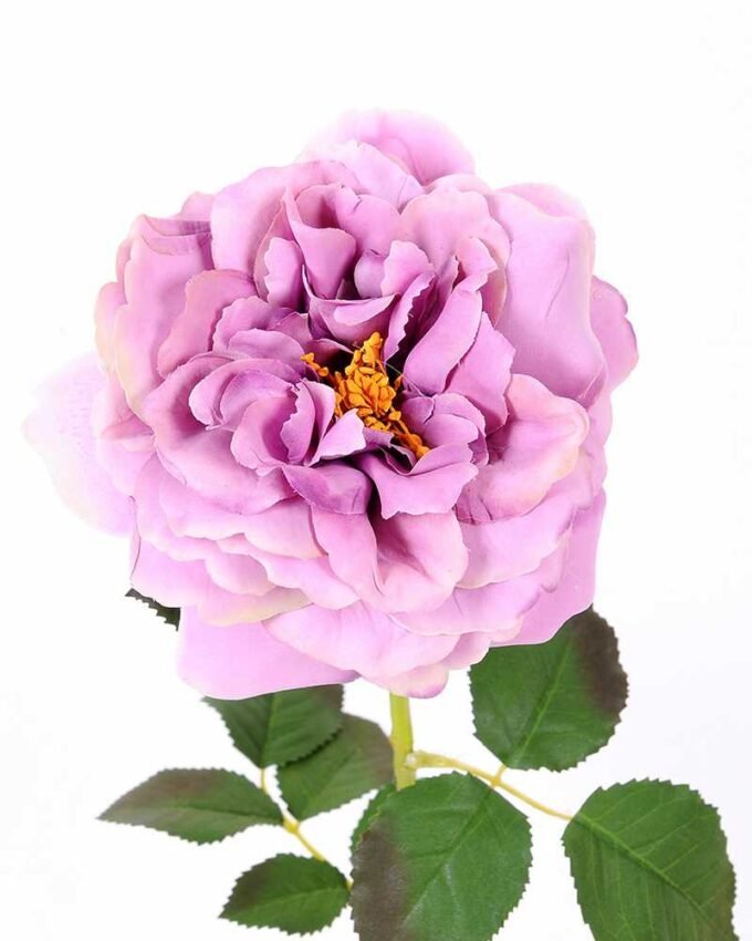 26*65CM single rose GS-2580112-Z1