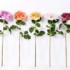 26*65CM single rose GS-2580112-Z1