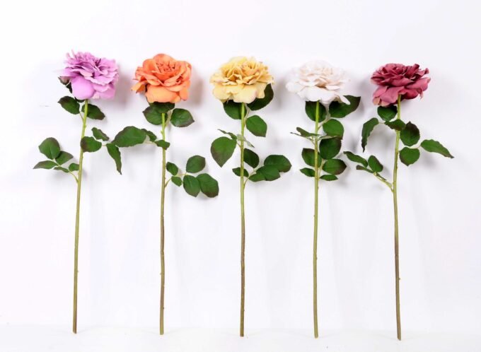 26*65CM single rose GS-2580112-Z1