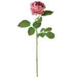 54*66CM Autumn Peony*2(S) GS-2580113-P1