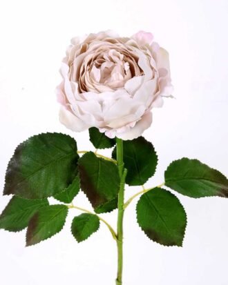 54*66CM Autumn Peony*2(S) GS-2580113-W1